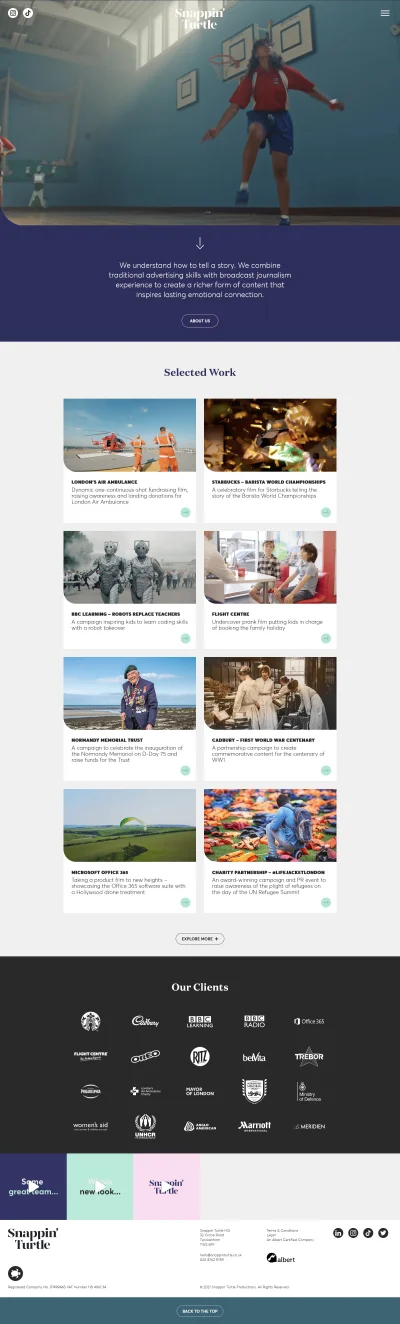 Snappin' Turtle website screenshot